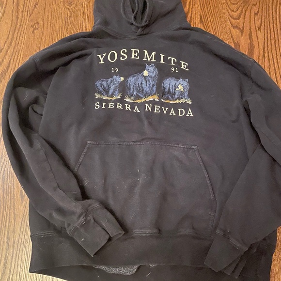 Brandy Melville Sweaters Brandy Melville Yosemite Hoodie Poshmark